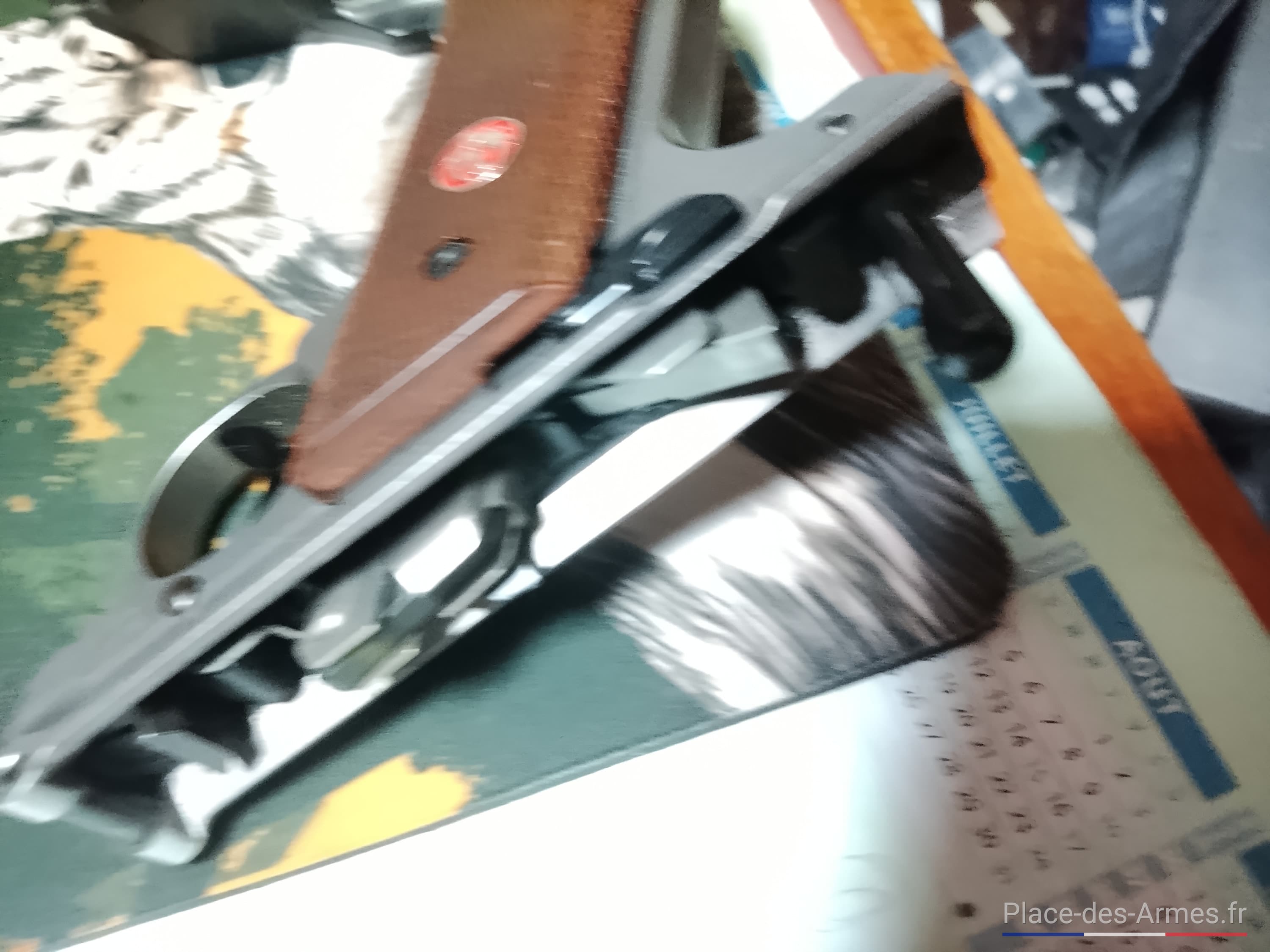 ruger 22LR